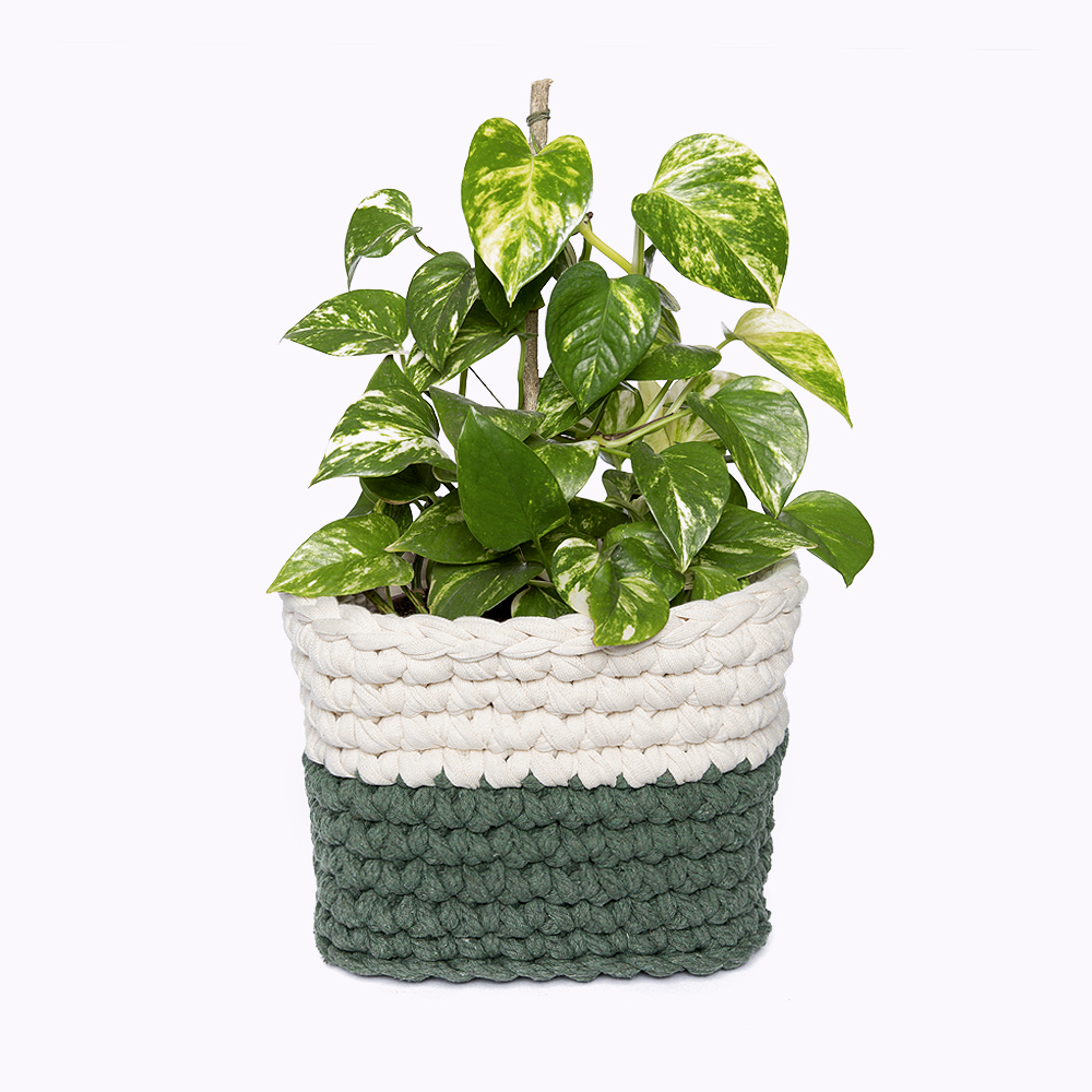 cesta para planta em feita em croche anne galante escola de artes manuais